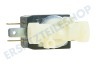 DeLonghi Kaffeemaschine 5213218261 Magnetventil