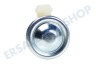 DeLonghi Kaffeemaschine Ventil von Pumpe