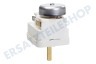 Beko Ofen-Mikrowelle Timer Analog 2 Kontakte