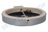 Blomberg Kochplatte 162926006 Kochzone