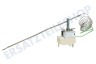 Beko Herd Thermostat Fühler (Stift) 2 Kontakte