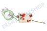 Beko Herd Thermostat Fühler (Stift) 2 Kontakte