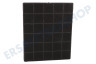 Gorenje Abzugshaube Filter