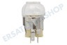Mora Ofen-Mikrowelle Lampe Backofenlampe, 25 Watt, G9
