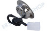 Gorenje Abzugshaube Lampe