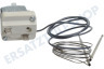 Indesit Herd Thermostat