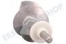 Moulinex XF911101 Schraubenwinde Robuste Metalln Schnecke