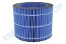 Philips FY3446/30 Befeuchtungsfilter