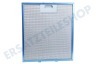 Hotpoint-ariston Abzugshaube Filter Metall in Halter 305x267