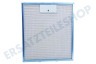 Hotpoint-ariston Abzugshaube Filter Metall in Halter 305x267