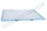 Hotpoint-ariston Abzugshaube Filter Metall in Halter 305x267