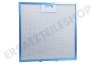Ariston Abzugshaube Filter Metall im Halter 320x320