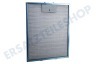 Whirlpool Abzugshaube Filter Metall 321x259mm