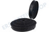 Whirlpool Abzugshaube Filter Kohlefilter mit Anti-Geruch