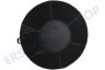 Alternative Abzugshaube Filter Kohlenstoff rund -23 cm-