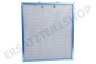 Elica Abzugshaube Filter Metall 305x266x22mm