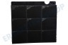 Indesit Abzugshaube AMC027 Filter Kohlenfilter 225x210x30mm