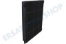Ikea Abzugshaube Filter Carbon 225x210x30mm