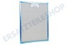 Arthur martin elux Abzugshaube Filter Metallfilter 380x283x8mm