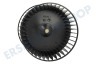 Elica Abzugshaube Ventilator