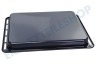 Hotpoint Ofen-Mikrowelle 481010674817 Grillplatte Grau