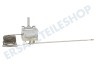 Blaupunkt Ofen-Mikrowelle Thermostat Stiftsonde