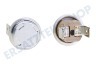 Saeco Kaffeemaschine Thermostat Schutz auf Element