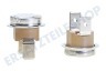 Saeco Kaffeemaschine Thermostat Schutz auf Element