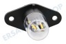 Whirlpool Ofen-Mikrowelle Lampe für Mikrowelle, LED 240V 2W
