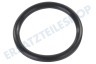Philips Bierzapfanlage HD5001/01 O-Ring von Zapfhahn