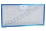 Pelgrim Abzugshaube Filter