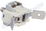 Pelgrim Kaffeemaschine Thermostat Temperaturschutz, 318 Grad
