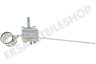 Atag Ofen-Mikrowelle Thermostat Stift-Sensor, 299 Grad C