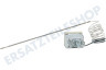 Atag Ofen-Mikrowelle Thermostat Stift-Sensor, 299 Grad C