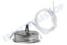 Etna Abzugshaube Lampe Spot 20 Watt Halogen