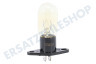 Panasonic Ofen-Mikrowelle Lampe mit Basis