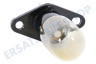 Panasonic Ofen-Mikrowelle Lampe mit Basis