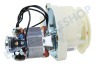Krups Kaffeemaschine MS-2A01648 Kaffeemahlwerk,