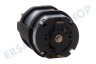 Senseo Kaffeemaschine Motor Antriebsmotor 120 V P124