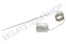 Smeg Ofen-Mikrowelle Thermostat Stiftsonde Ofen 2 Kont.