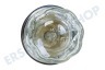 Smeg Herd Lampe Komplett mit Glas und Fassung