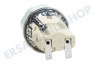Smeg Herd Lampe Komplett mit Glas und Fassung