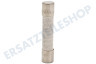 Samsung Ofen-Mikrowelle 3601-001197 Sicherung