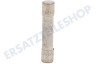 Samsung Ofen-Mikrowelle 3601-001197 Sicherung