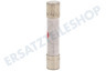 Samsung Ofen-Mikrowelle 3601-000448 10A Sicherung