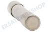 Samsung Ofen-Mikrowelle 3601-000448 10A Sicherung