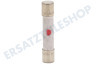 Samsung Ofen-Mikrowelle 3601-000448 10A Sicherung