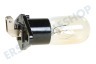 Alternative Ofen-Mikrowelle, Ofen 4713-001524 Lampe für Mikrowelle 20W 230V 104ma