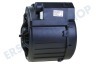 Itho Abzugshaube 508-900235 Motor Elan 90 cm (4000021)