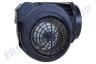 Itho Abzugshaube 508-900235 Motor Elan 90 cm (4000021)